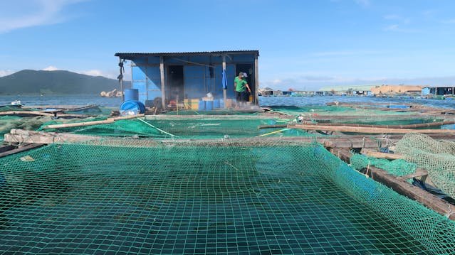 gill nets image